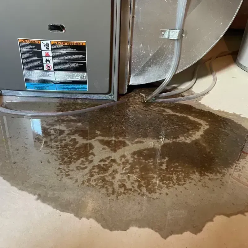 Appliance Leak Cleanup in Sainte Genevieve, MO